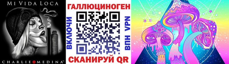 blacksprut как войти Кувшиново Галлюциногенные грибы Psilocybe