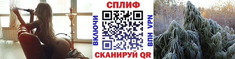 Шишки марихуана сатива  Кувшиново 
